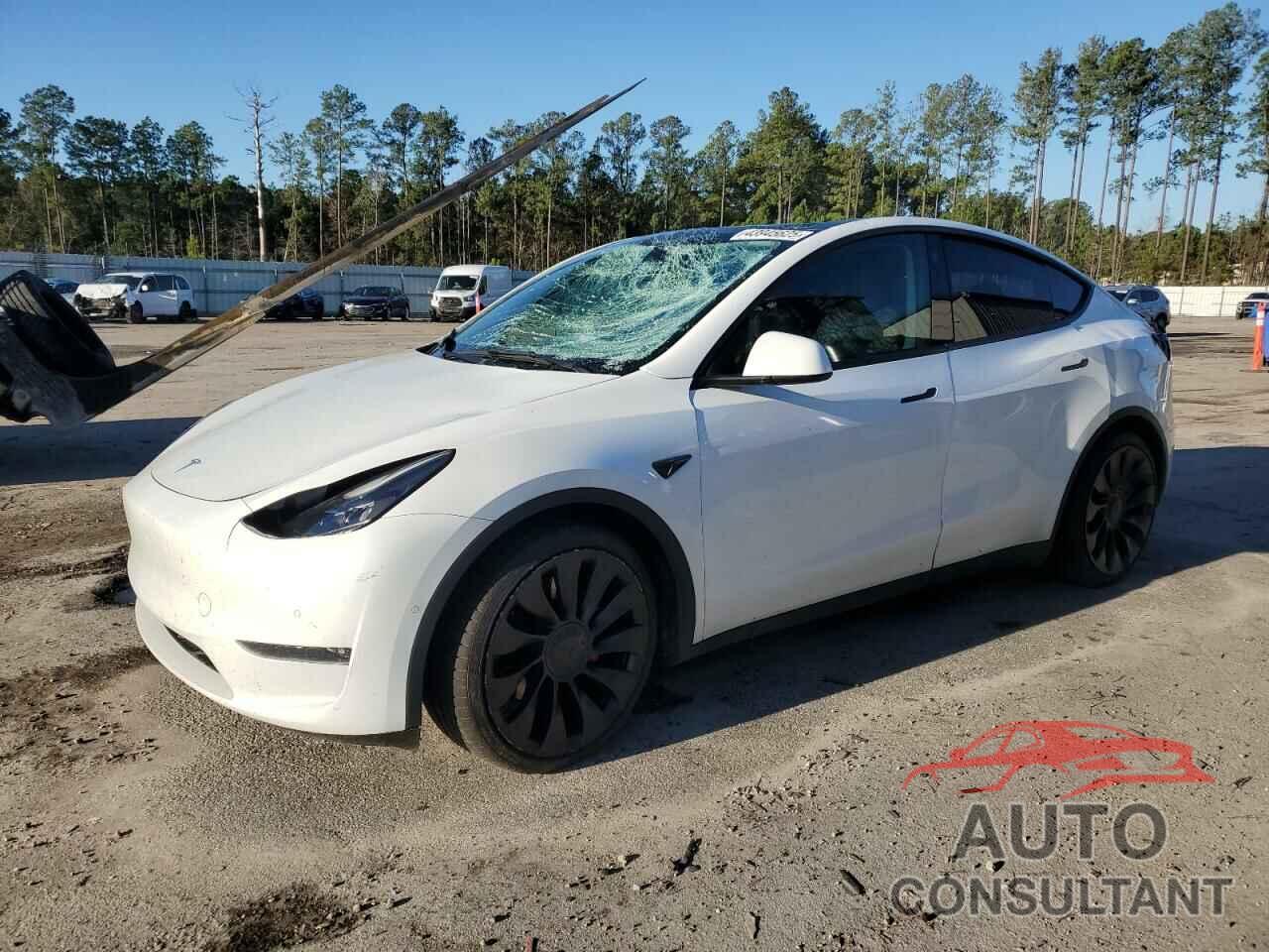 TESLA MODEL Y 2021 - 5YJYGDEF9MF251819