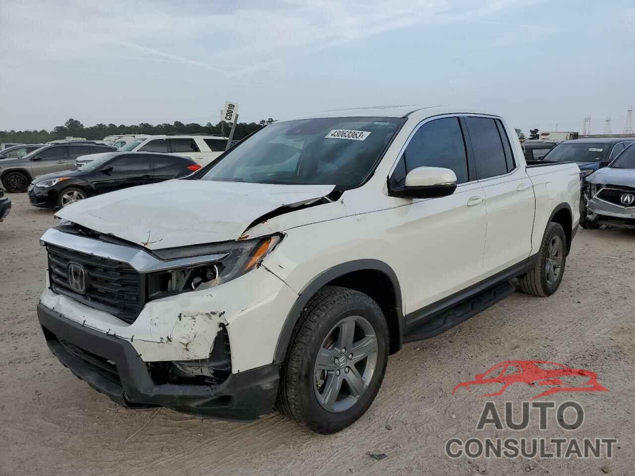 HONDA RIDGELINE 2023 - 5FPYK3F56PB010312