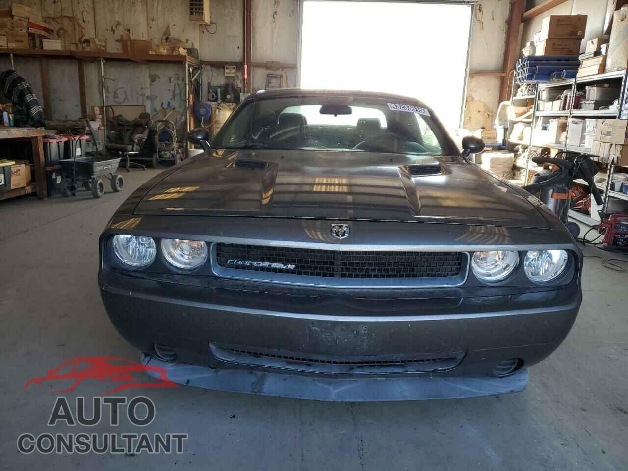 DODGE CHALLENGER 2010 - 2B3CJ4DVXAH166855