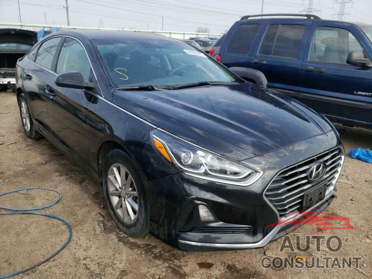 HYUNDAI SONATA 2019 - 5NPE24AF2KH731500