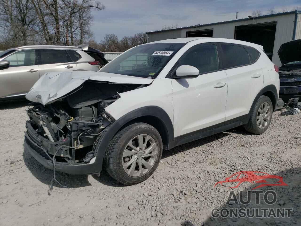 HYUNDAI TUCSON 2019 - KM8J23A43KU986570