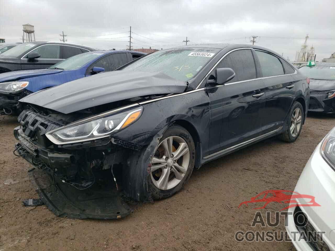 HYUNDAI SONATA 2019 - 5NPE34AF1KH771158