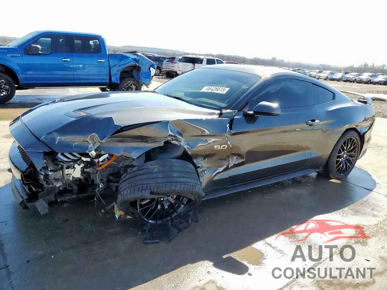 FORD MUSTANG 2019 - 1FA6P8CF7K5192386