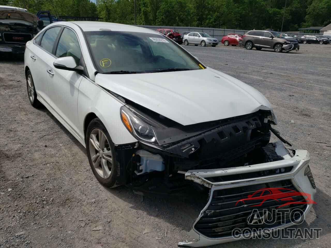 HYUNDAI SONATA 2018 - 5NPE34AF0JH654685
