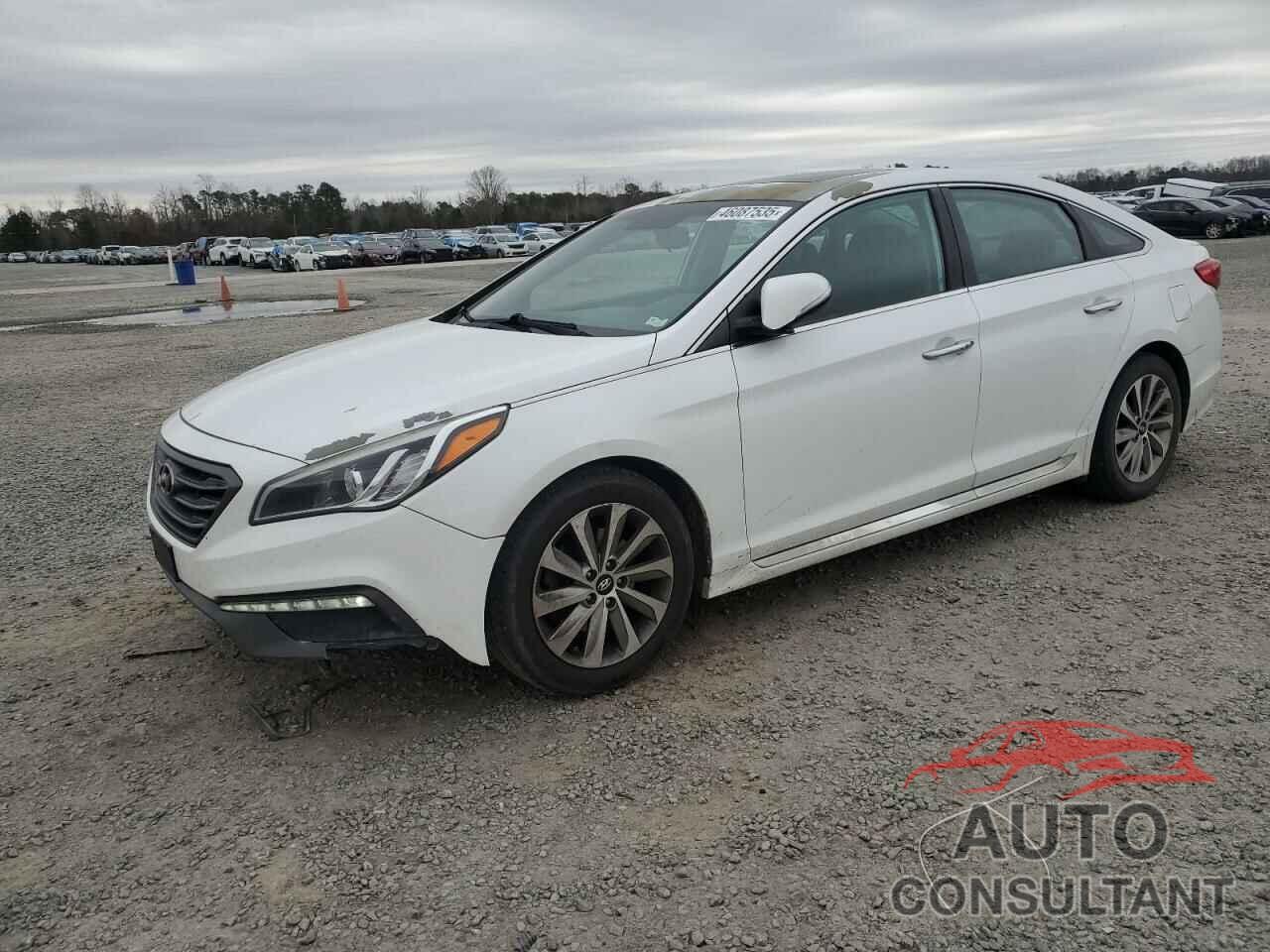 HYUNDAI SONATA 2016 - 5NPE34AF3GH391391