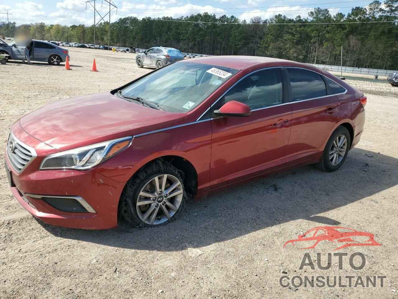 HYUNDAI SONATA 2016 - 5NPE24AF1GH364029