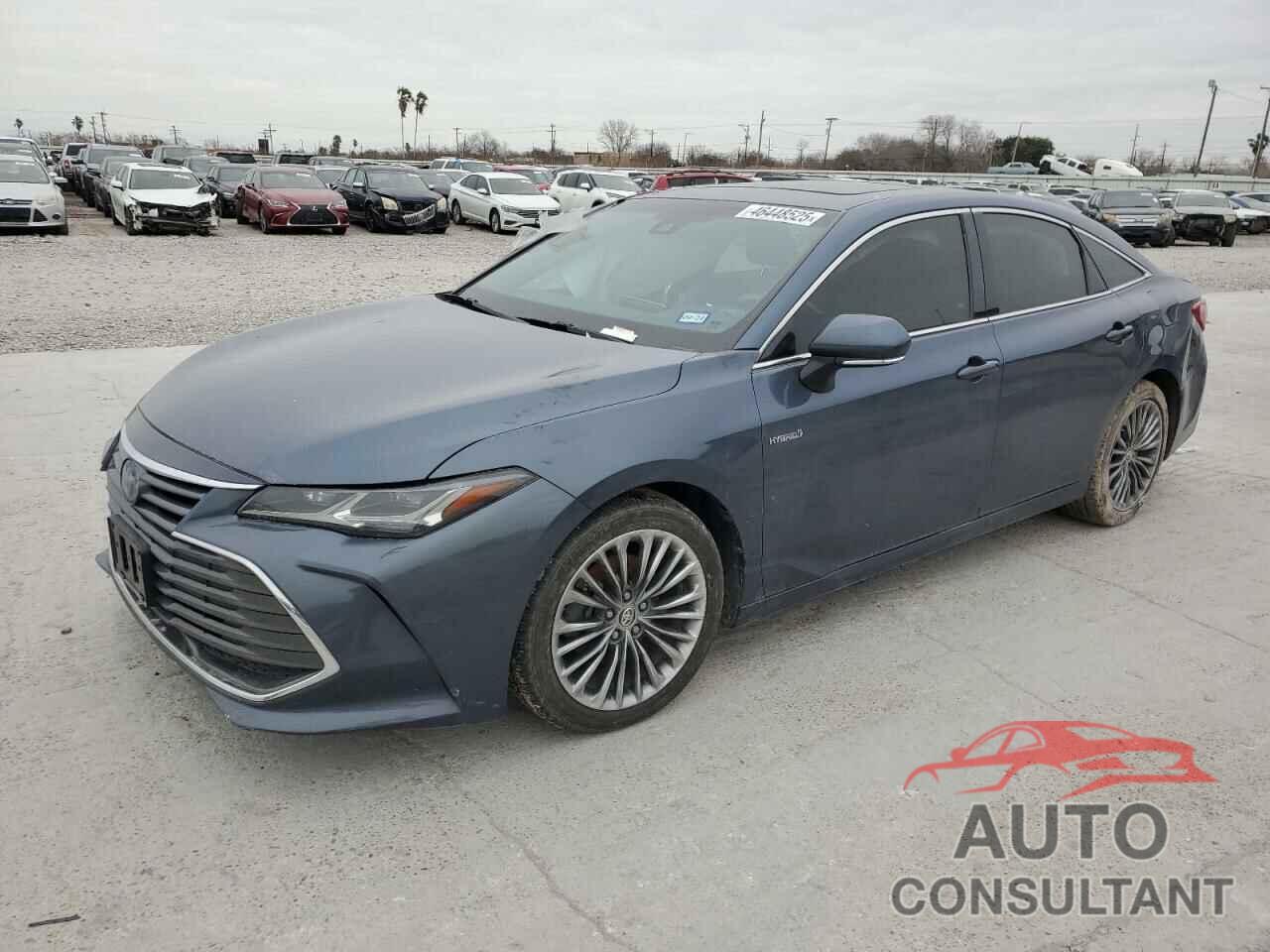 TOYOTA AVALON 2019 - 4T1B21FB2KU010683