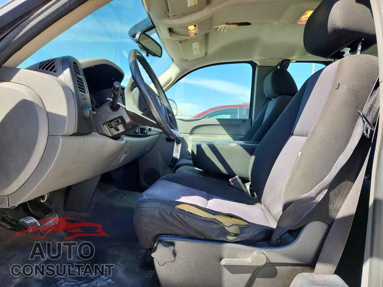 CHEVROLET SILVERADO 2010 - 1GCSCPEX1AZ285965