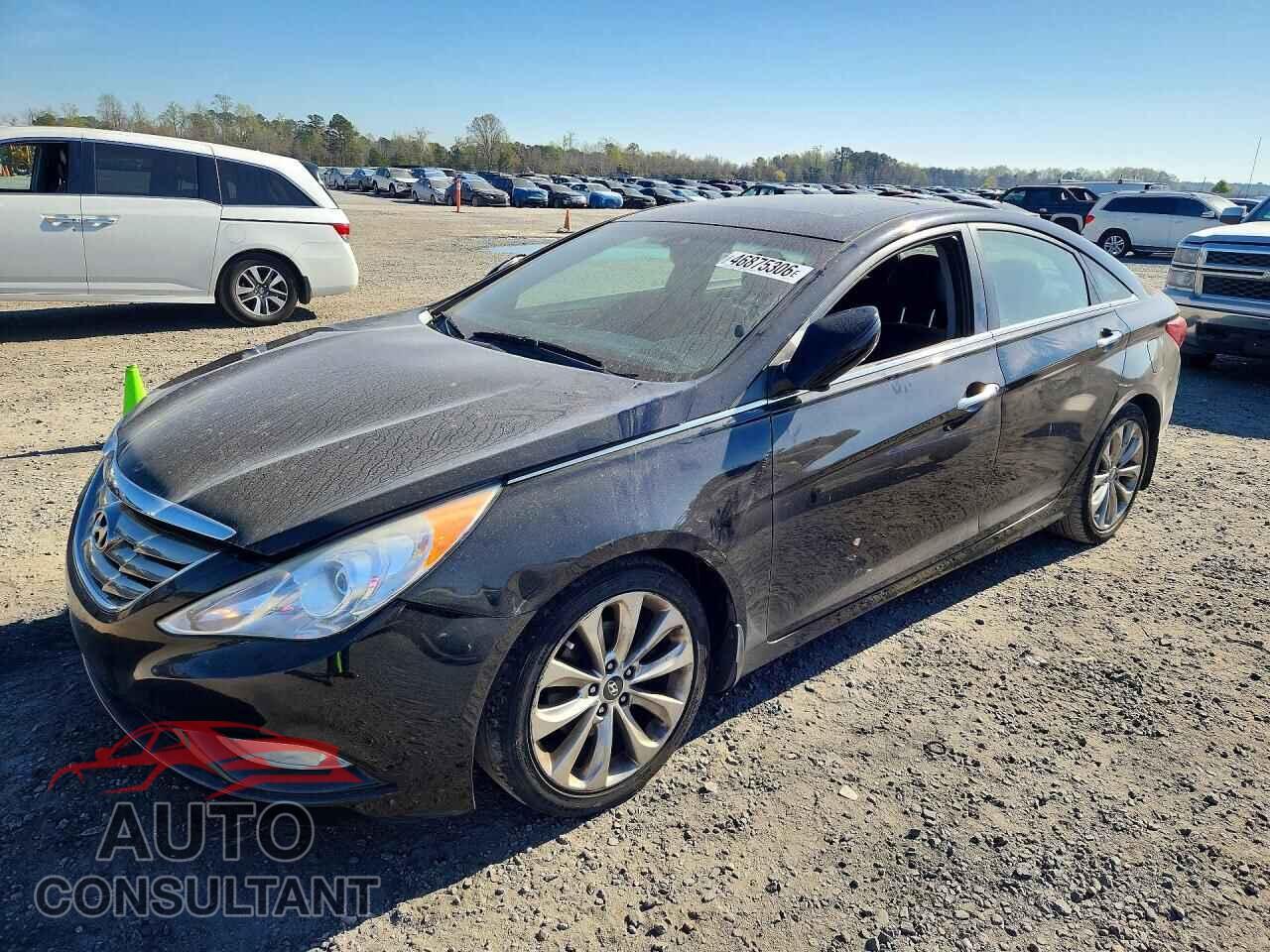 HYUNDAI SONATA 2013 - 5NPEC4AC8DH525295