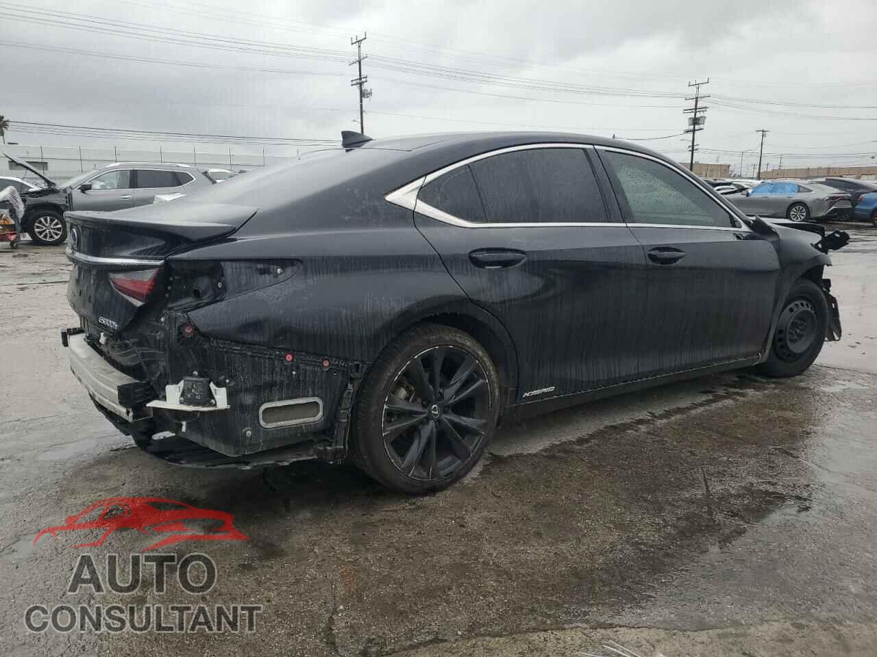 LEXUS ES300 2022 - 58ADA1C19NU021166