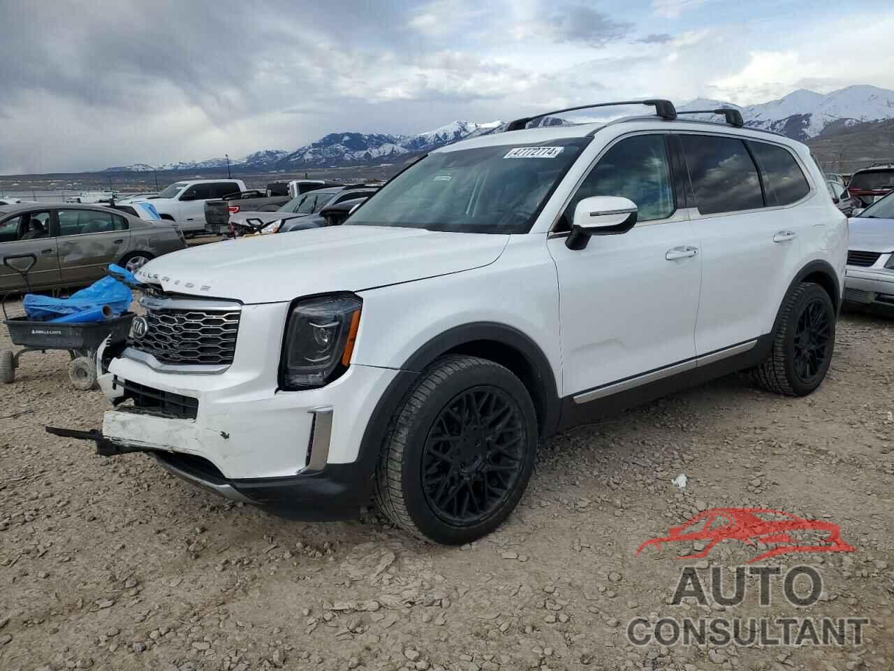 KIA TELLURIDE 2020 - 5XYP6DHC6LG091177