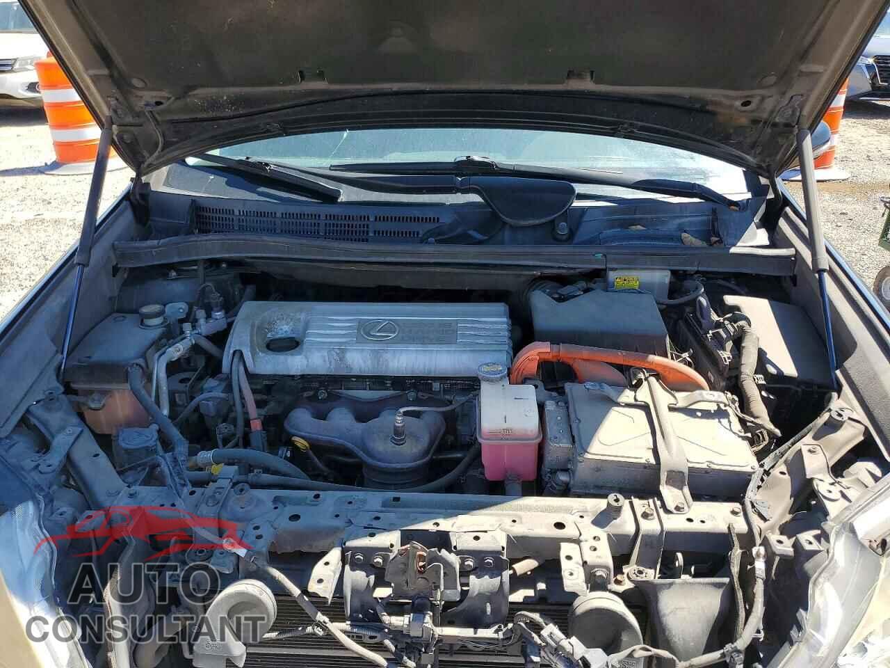 LEXUS HS 2011 - JTHBB1BA7B2044789