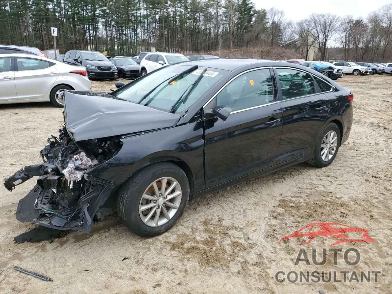 HYUNDAI SONATA 2019 - 5NPE24AF6KH731239