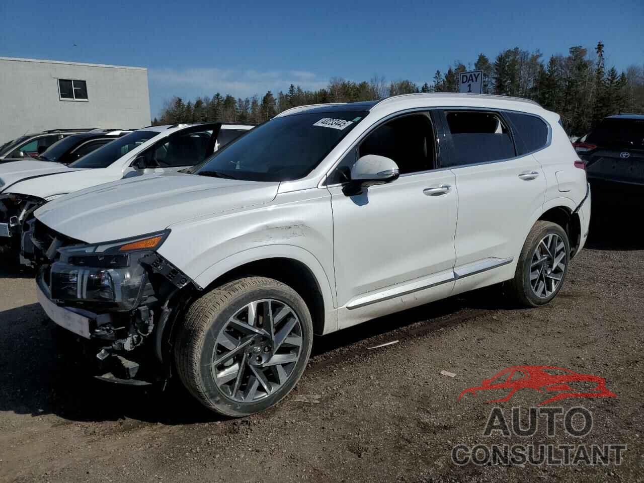 HYUNDAI SANTA FE 2022 - 5NMS5DALXNH477293