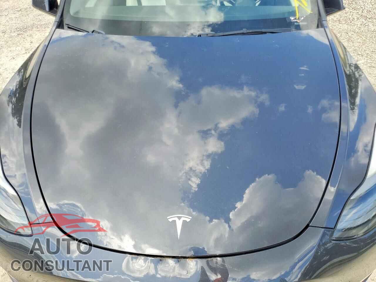 TESLA MODEL Y 2024 - 7SAYGAEE1RF045247
