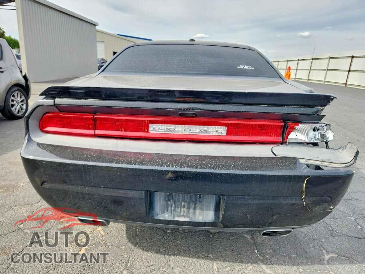 DODGE CHALLENGER 2013 - 2C3CDYBT0DH642070
