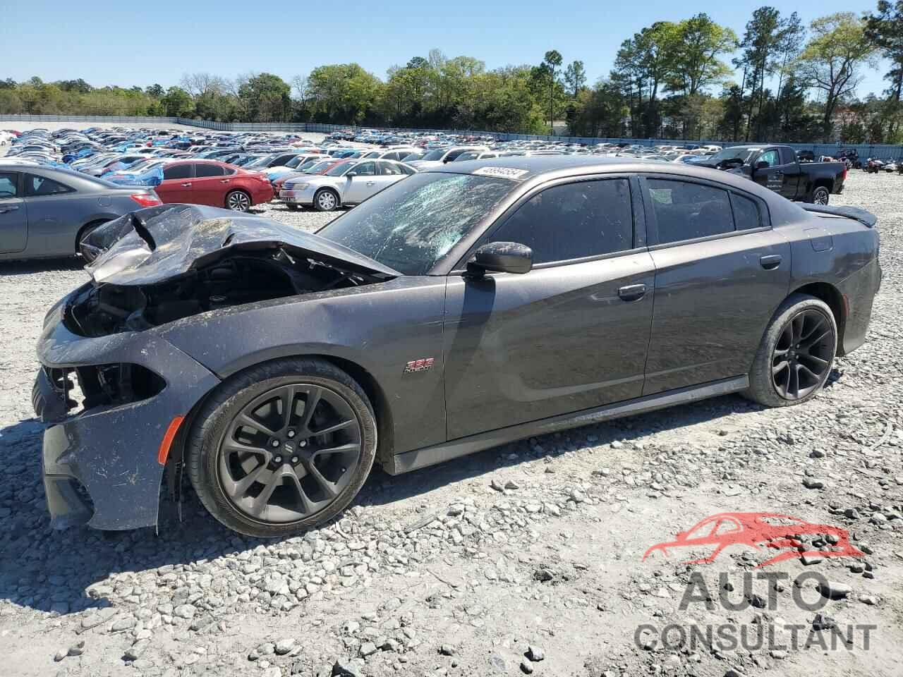 DODGE CHARGER 2021 - 2C3CDXGJ4MH559131
