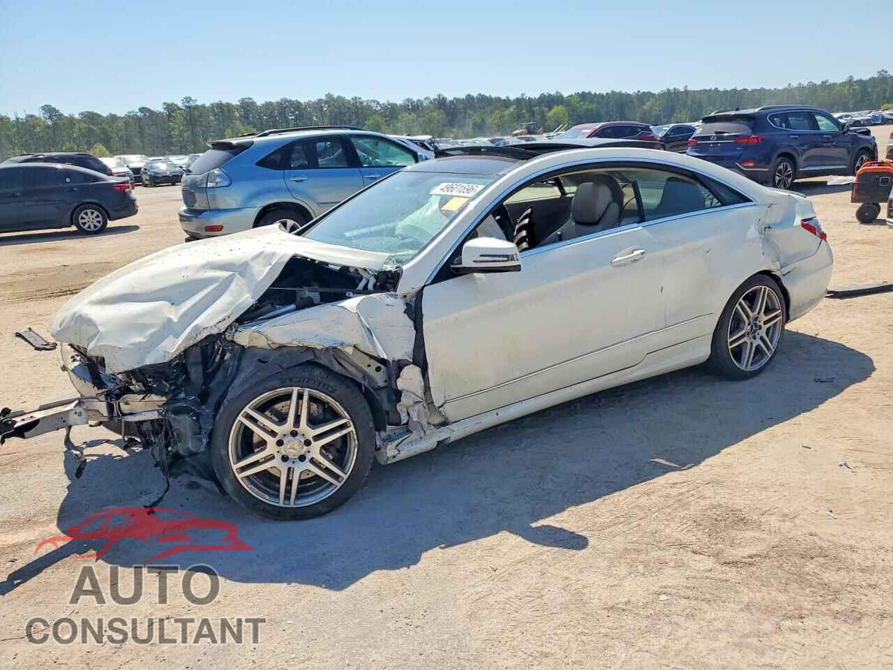 MERCEDES-BENZ E-CLASS 2010 - WDDKJ7CB6AF042995