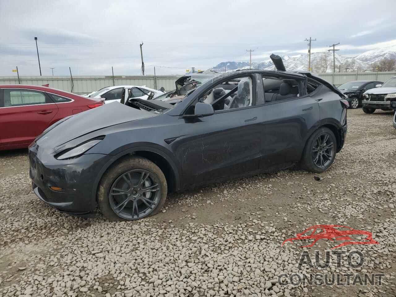 TESLA MODEL Y 2025 - 7SAYGDEE0SF298924