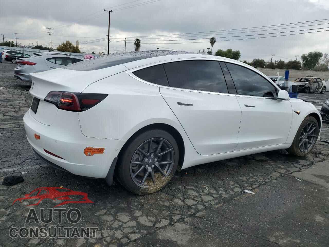 TESLA MODEL 3 2019 - 5YJ3E1EA9KF504086