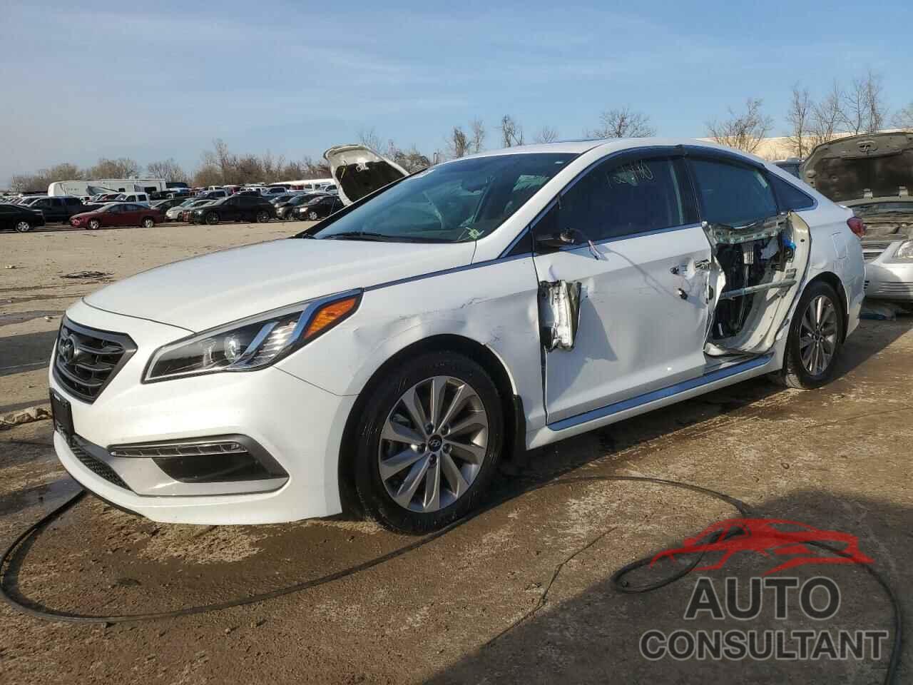 HYUNDAI SONATA 2017 - 5NPE34AF5HH553488