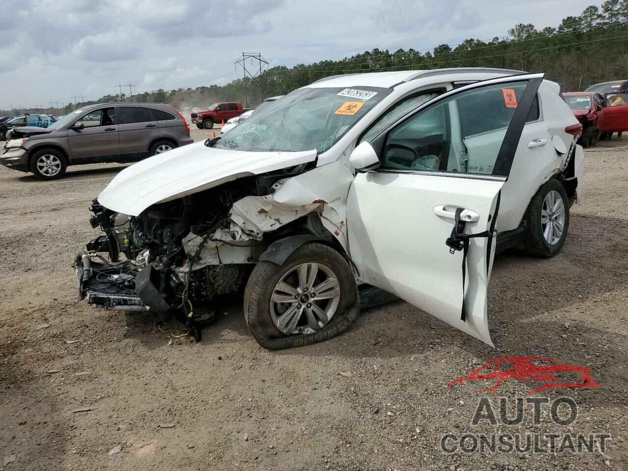 KIA SPORTAGE 2019 - KNDPMCAC6K7493349