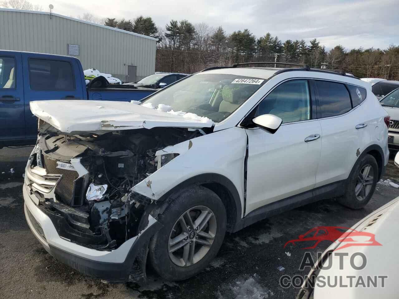 HYUNDAI SANTA FE 2017 - 5NMZUDLB8HH032643