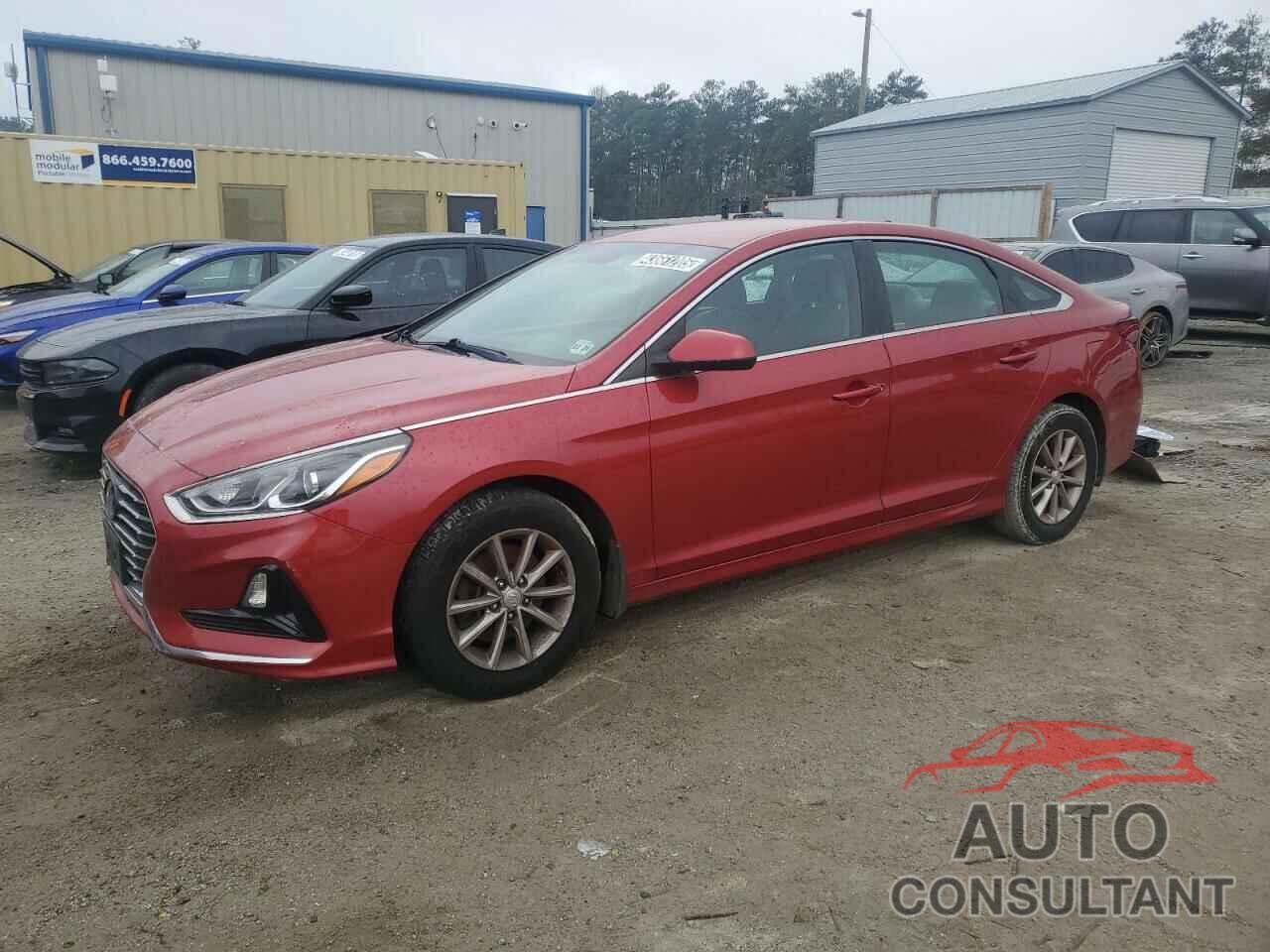 HYUNDAI SONATA 2019 - 5NPE24AF0KH808767