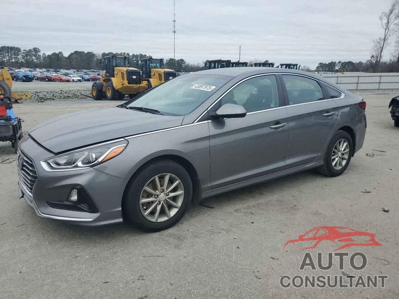 HYUNDAI SONATA 2019 - 5NPE24AF0KH807781