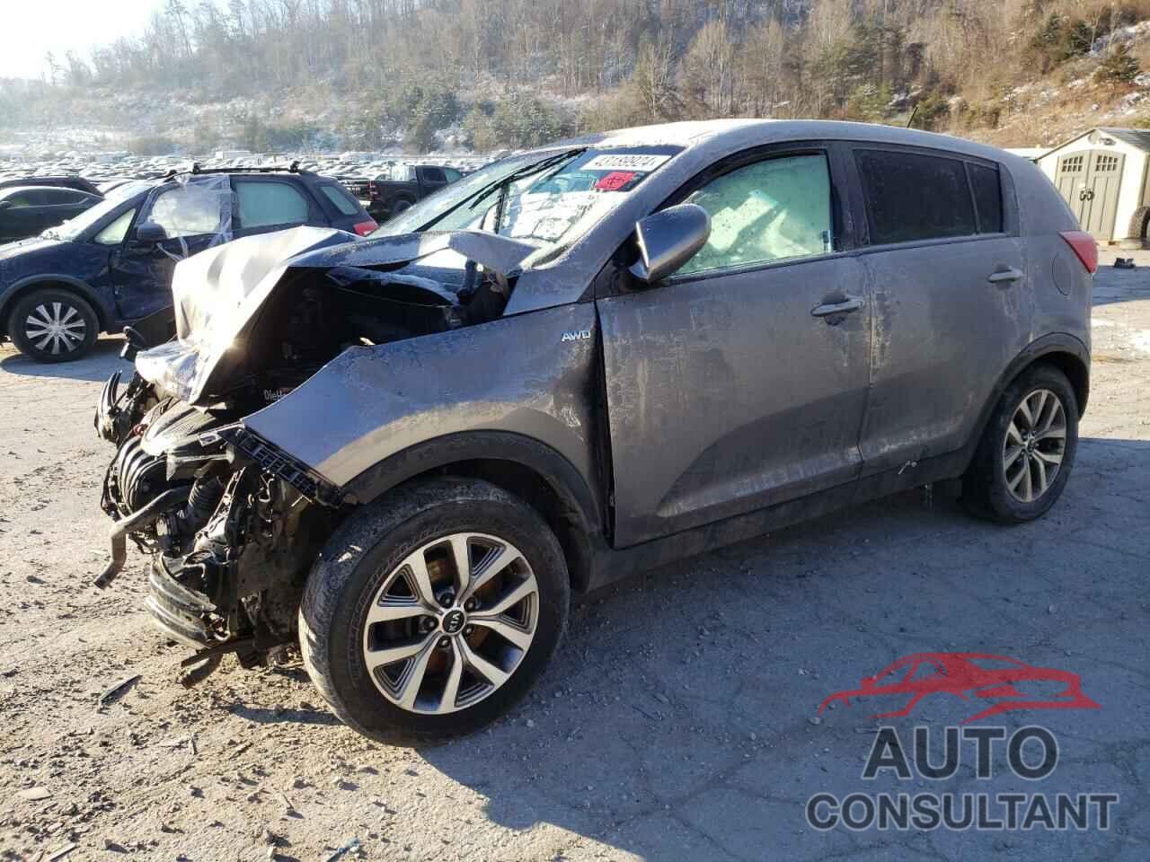 KIA SPORTAGE 2016 - KNDPBCAC8G7872267