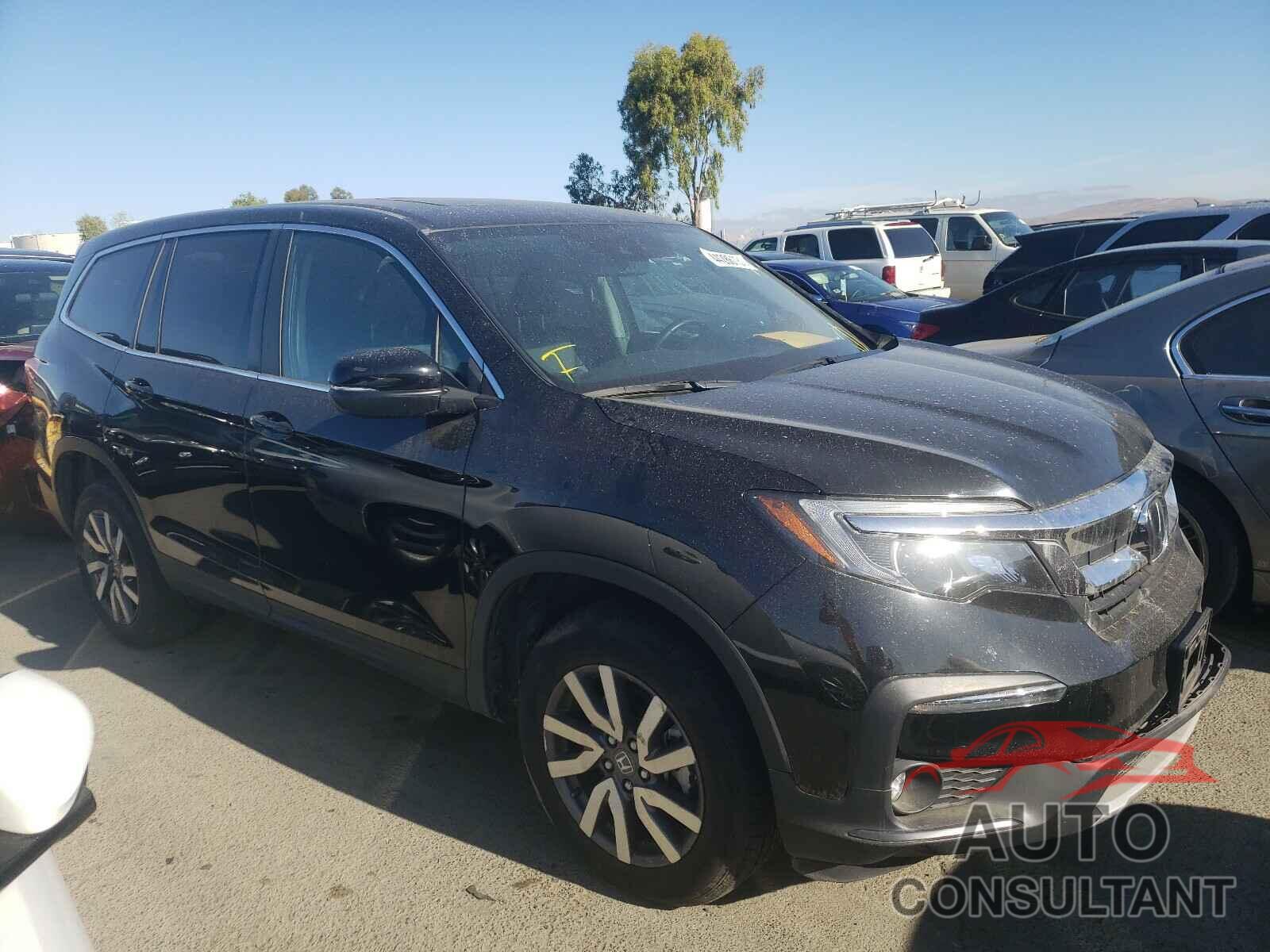 HONDA PILOT 2019 - 5FNYF6H52KB084296