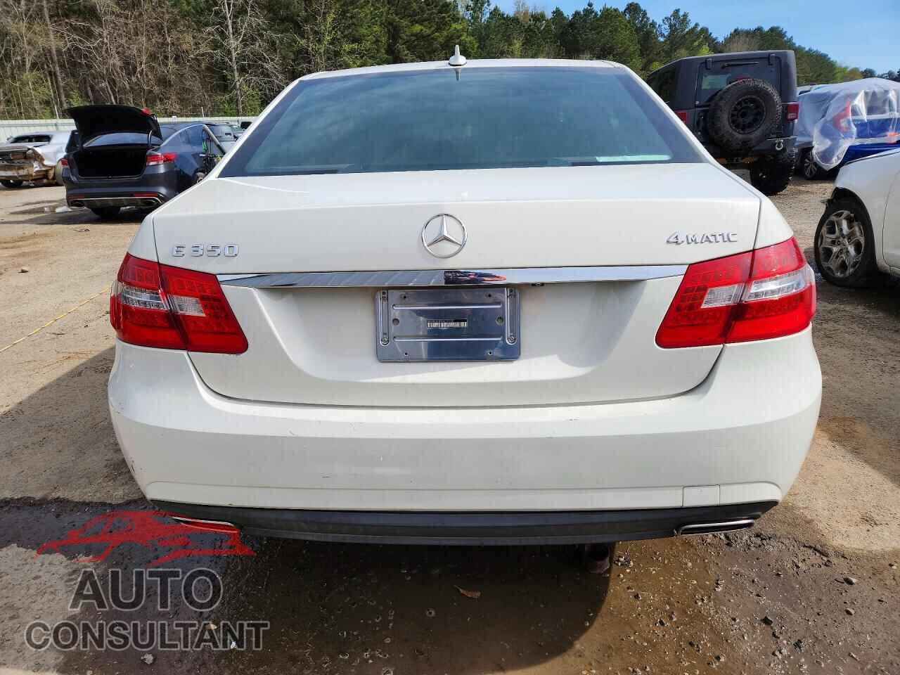 MERCEDES-BENZ E-CLASS 2010 - WDDHF8HB9AA129751