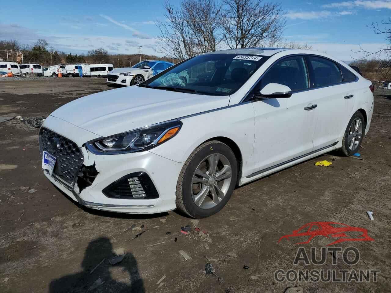 HYUNDAI SONATA 2018 - 5NPE34AF2JH609506