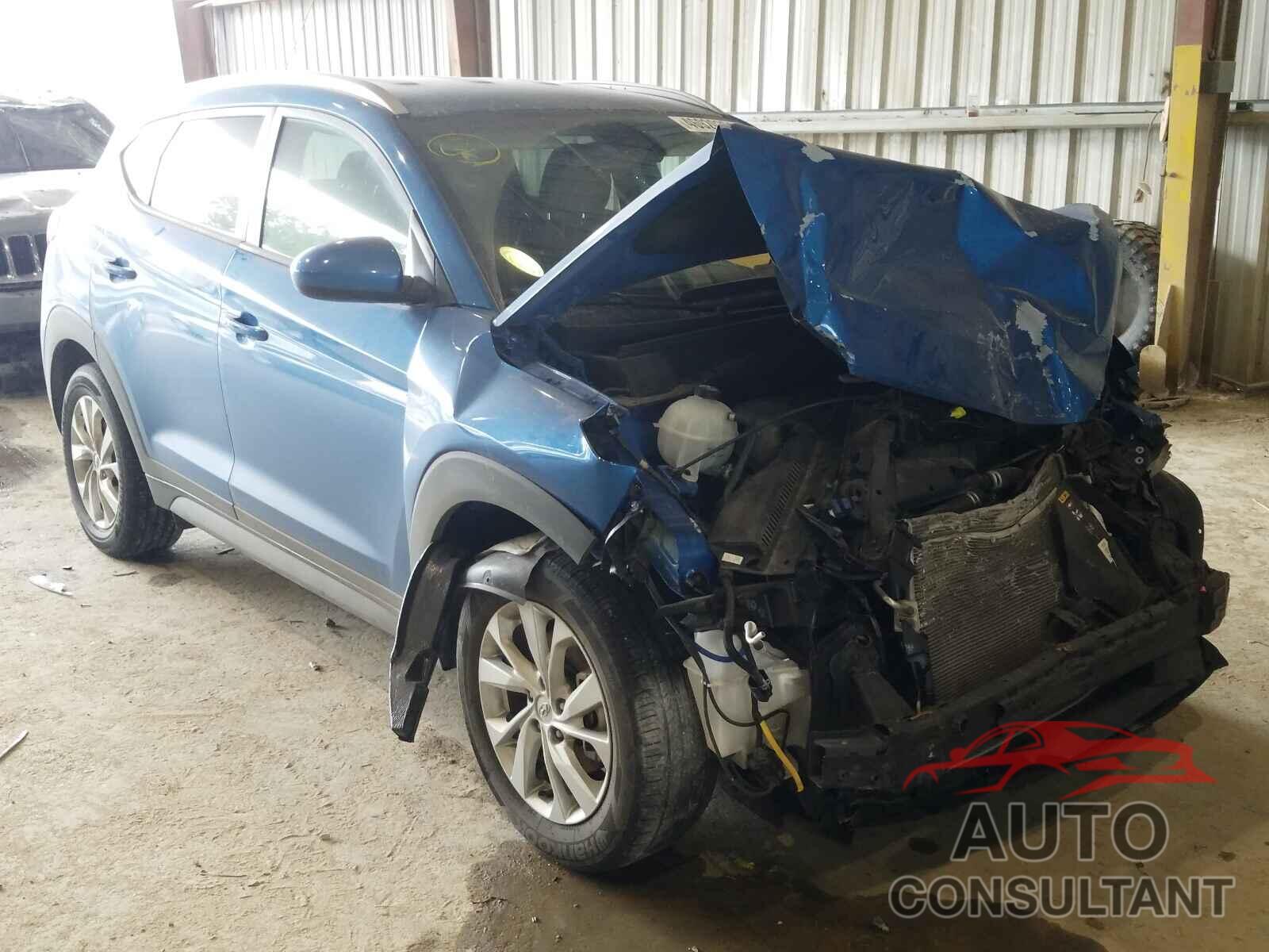 HYUNDAI TUCSON 2019 - KM8J33A43KU985996
