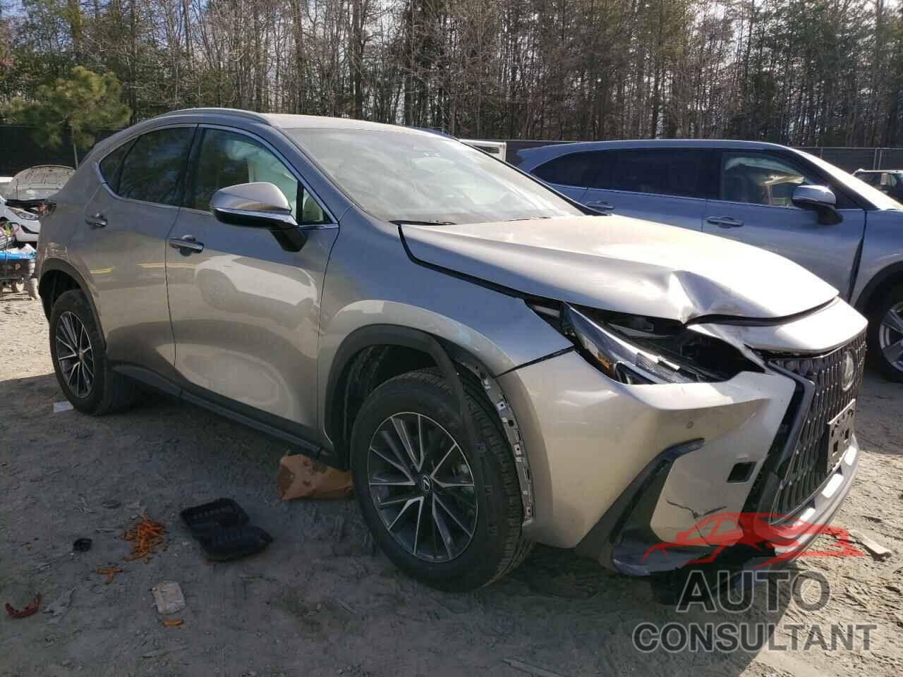 LEXUS NX 350 PRE 2024 - 2T2GGCEZ5RC052418
