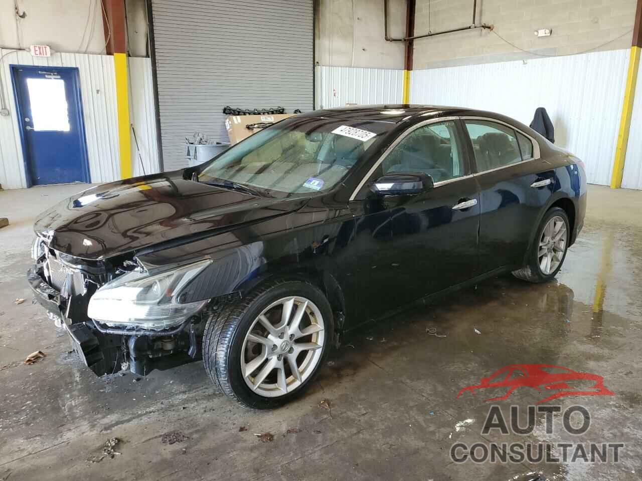 NISSAN MAXIMA 2009 - 1N4AA51E19C836667