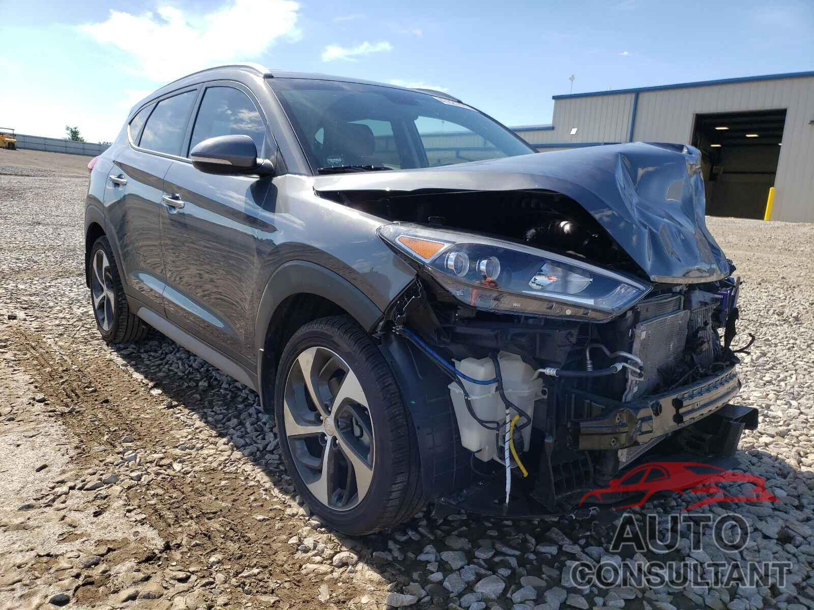 HYUNDAI TUCSON 2017 - KM8J33A25HU519767