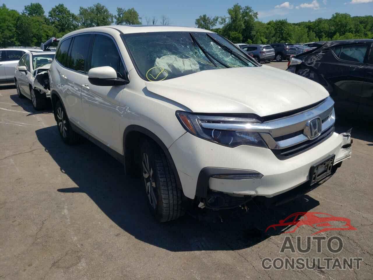 HONDA PILOT 2019 - 5FNYF6H56KB044755