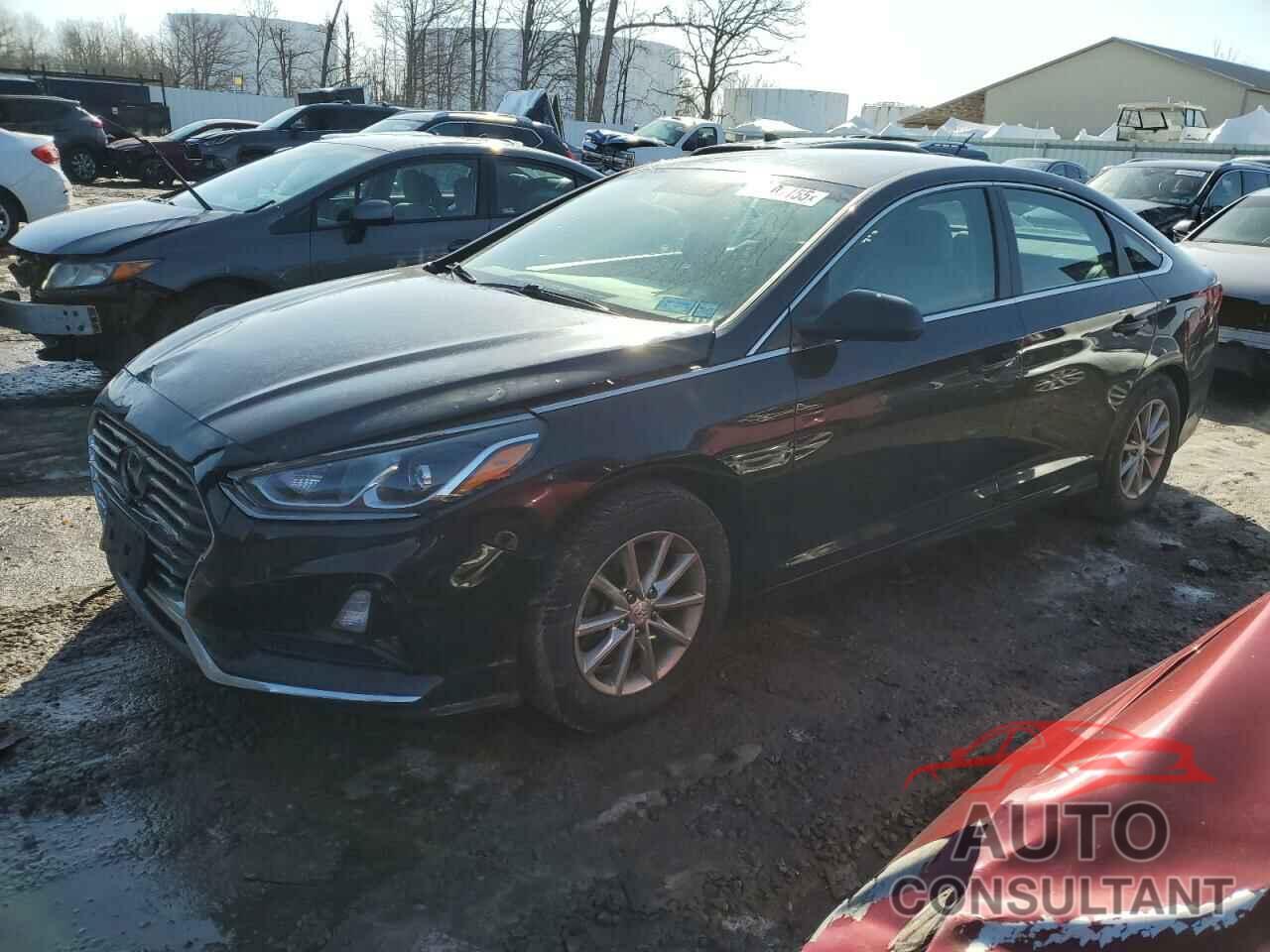 HYUNDAI SONATA 2019 - 5NPE24AF1KH779604
