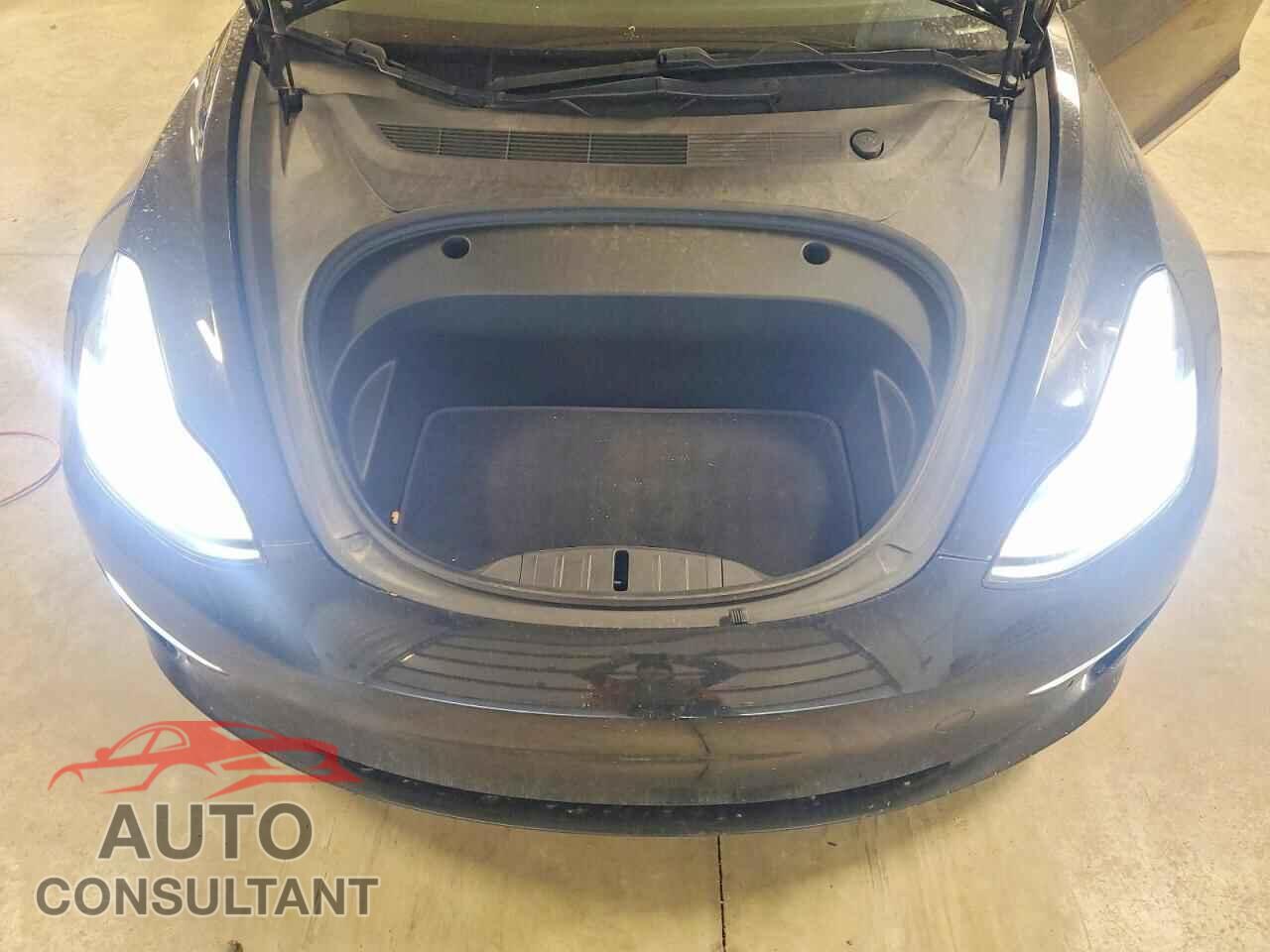 TESLA MODEL 3 2019 - 5YJ3E1EB5KF385669