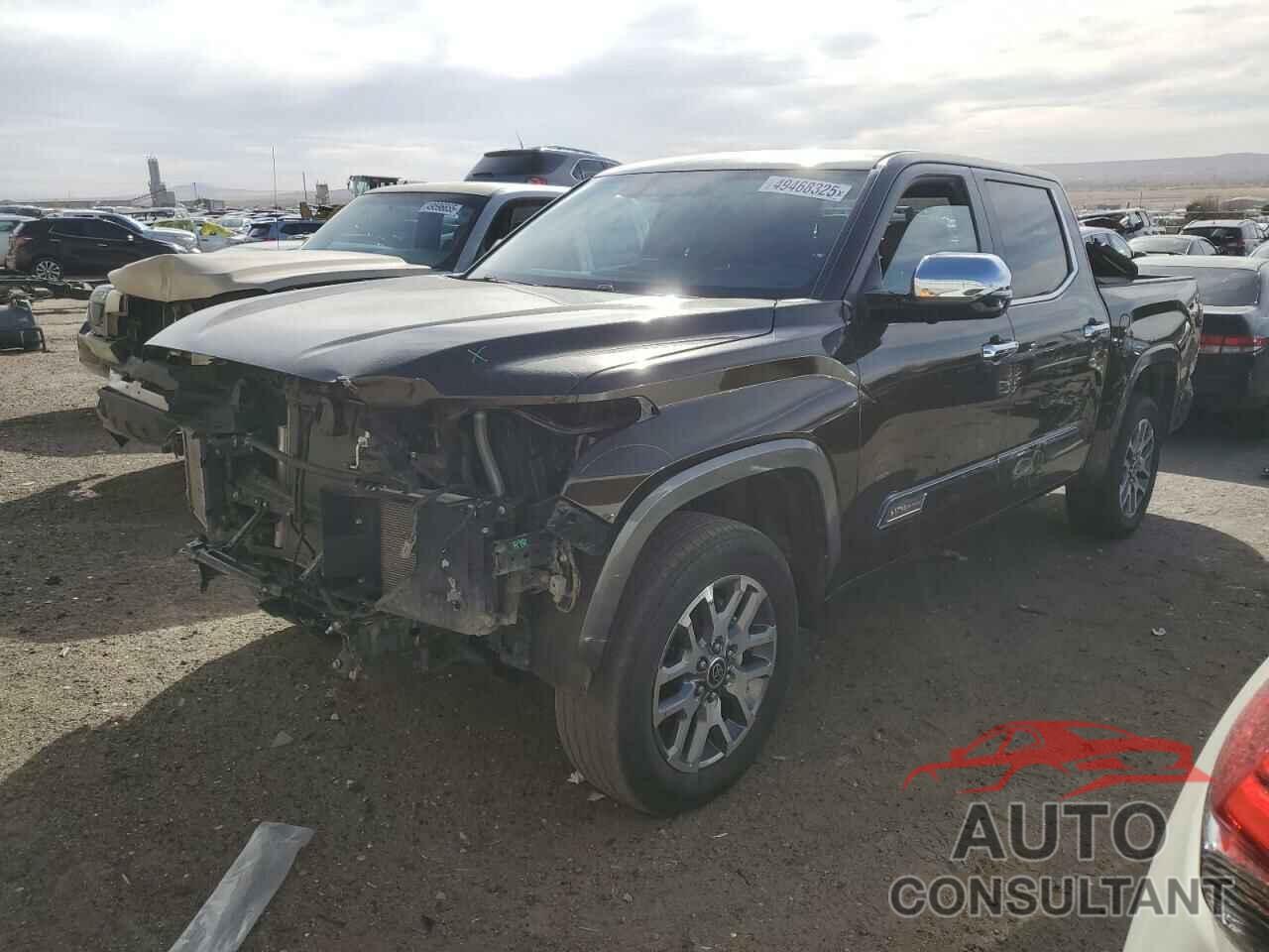 TOYOTA TUNDRA 2024 - 5TFMA5DBXRX188084
