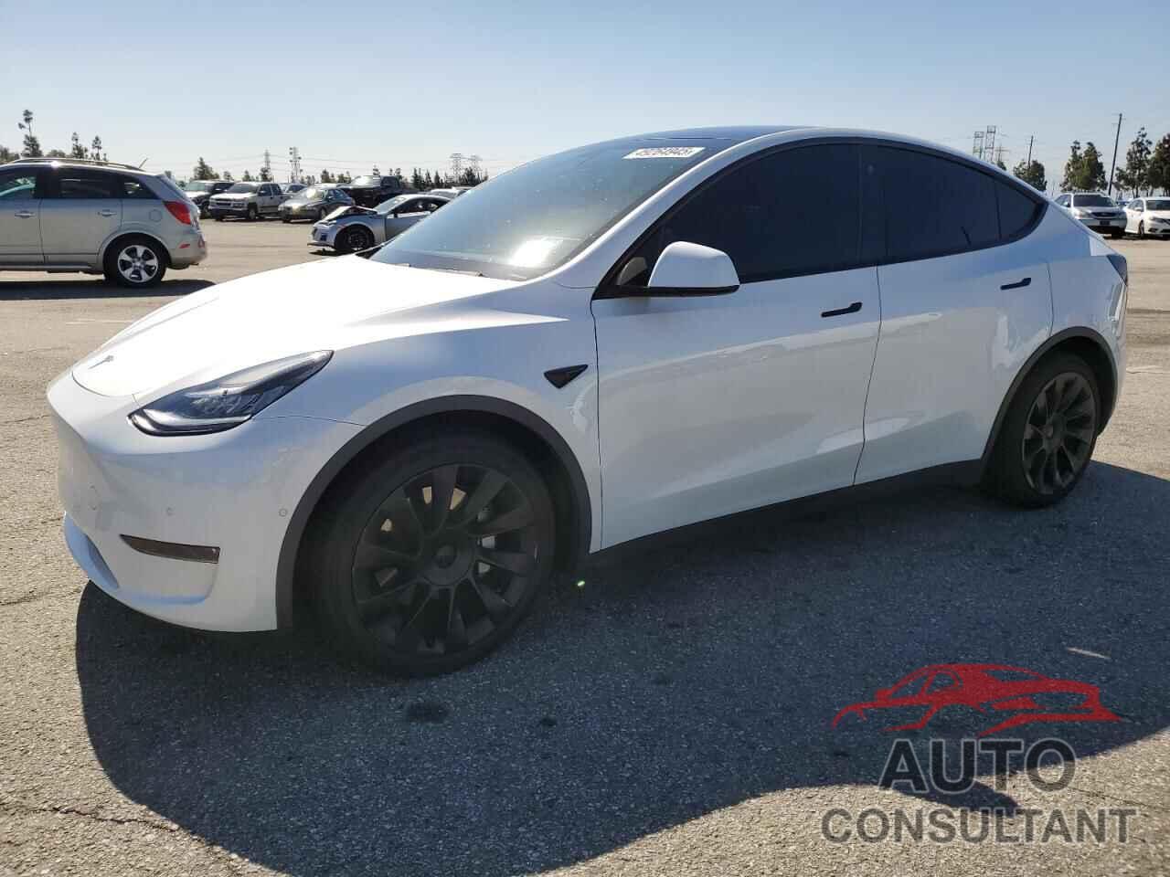 TESLA MODEL Y 2021 - 5YJYGDEEXMF065536