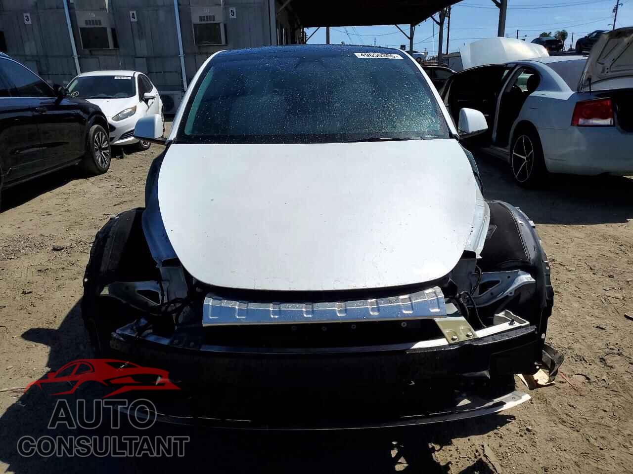 TESLA MODEL Y 2022 - 7SAYGDEF0NF397305