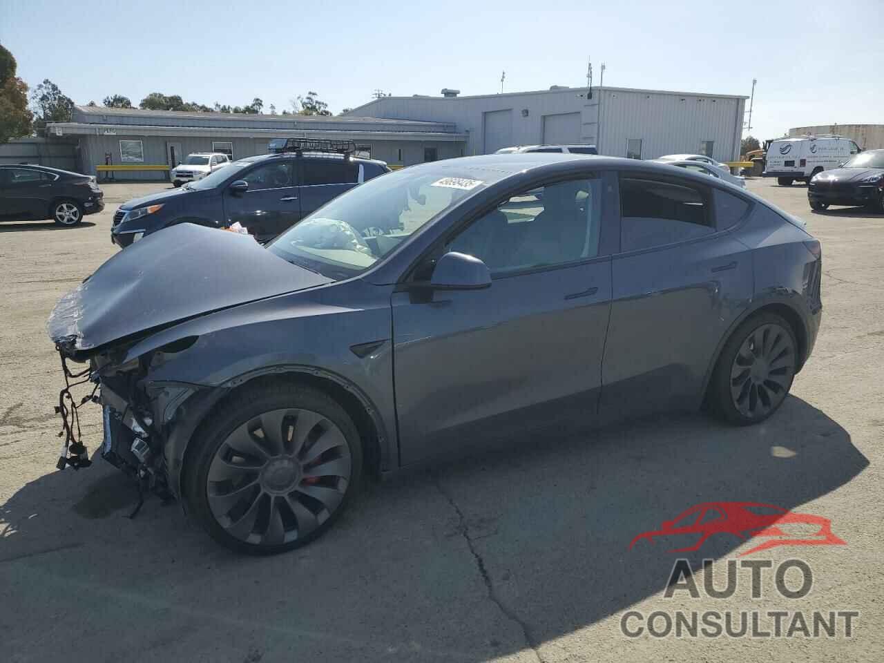 TESLA MODEL Y 2022 - 7SAYGDEF3NF350124