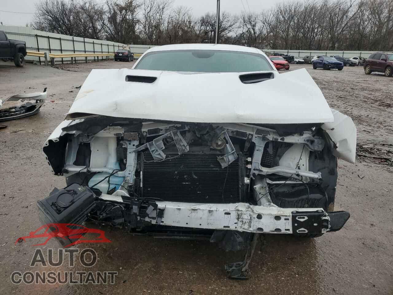 DODGE CHALLENGER 2019 - 2C3CDZAG8KH649582
