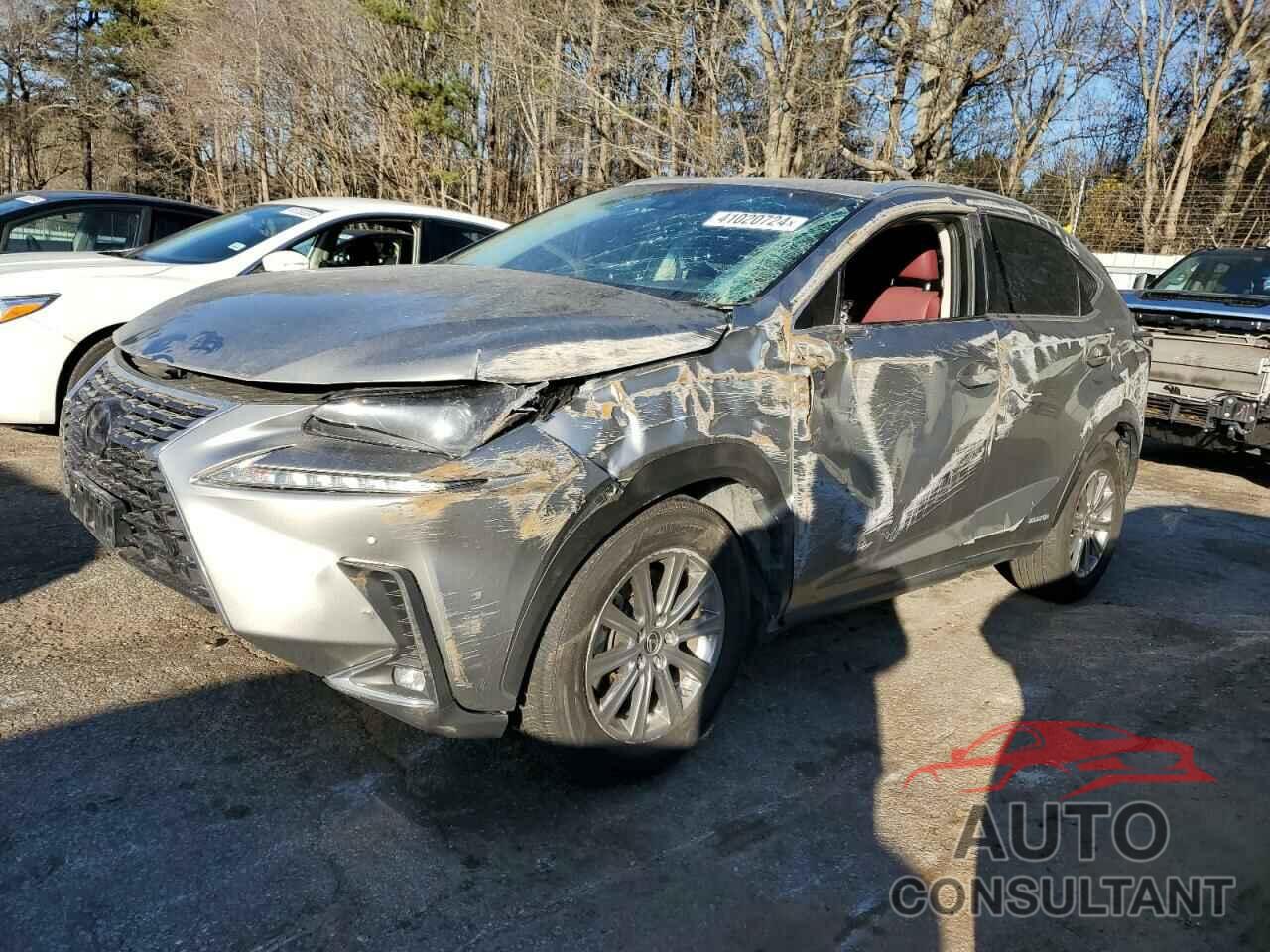 LEXUS NX 2018 - JTJBJRBZ4J2093548