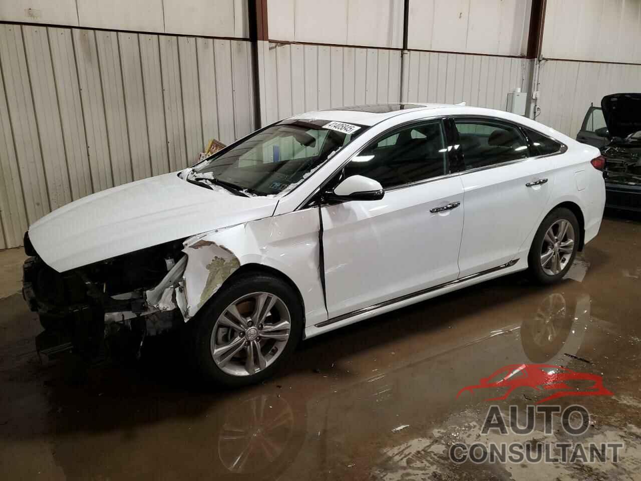 HYUNDAI SONATA 2019 - 5NPE34AF1KH773184