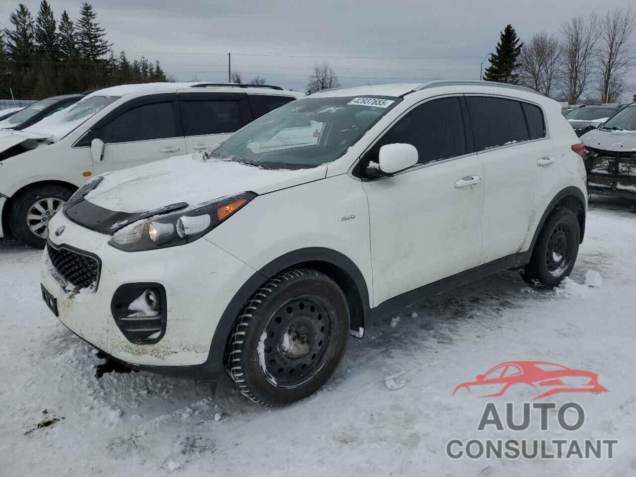 KIA SPORTAGE 2019 - KNDPMCAC6K7580152