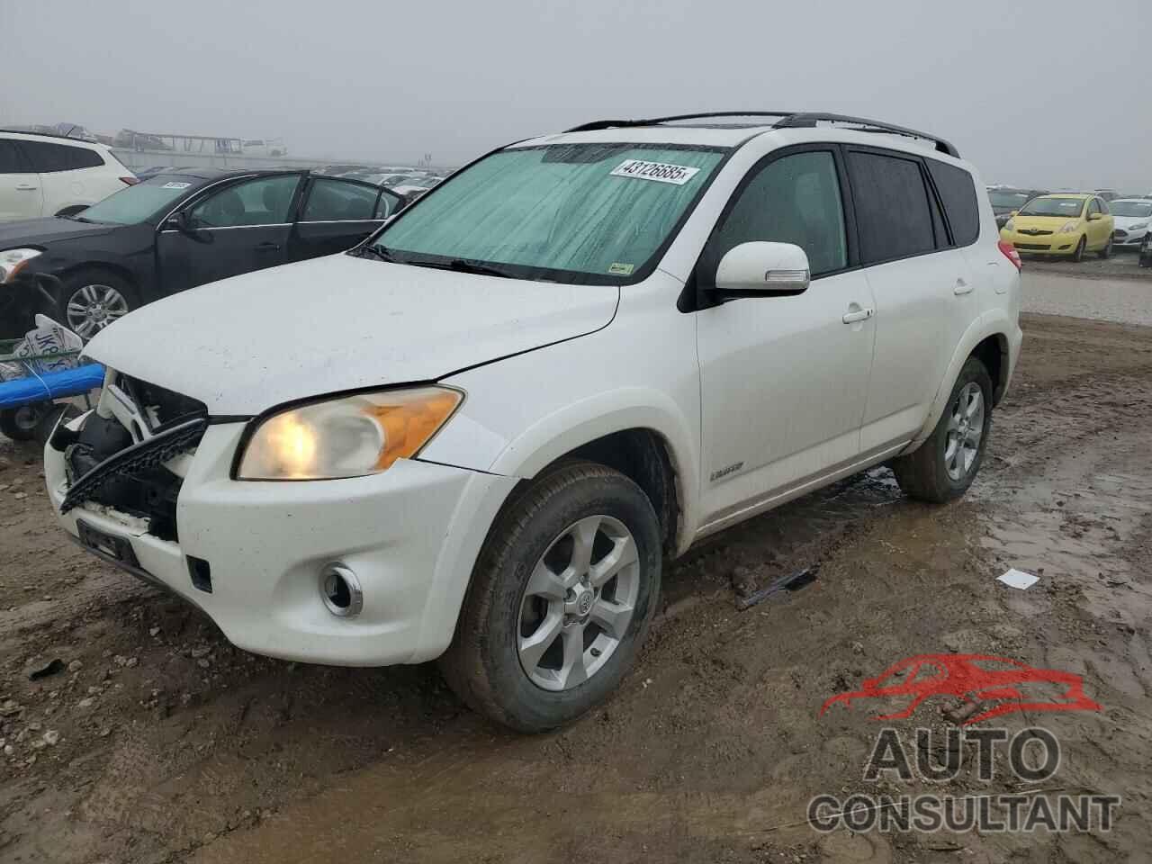 TOYOTA RAV4 2009 - JTMBK31V295072106