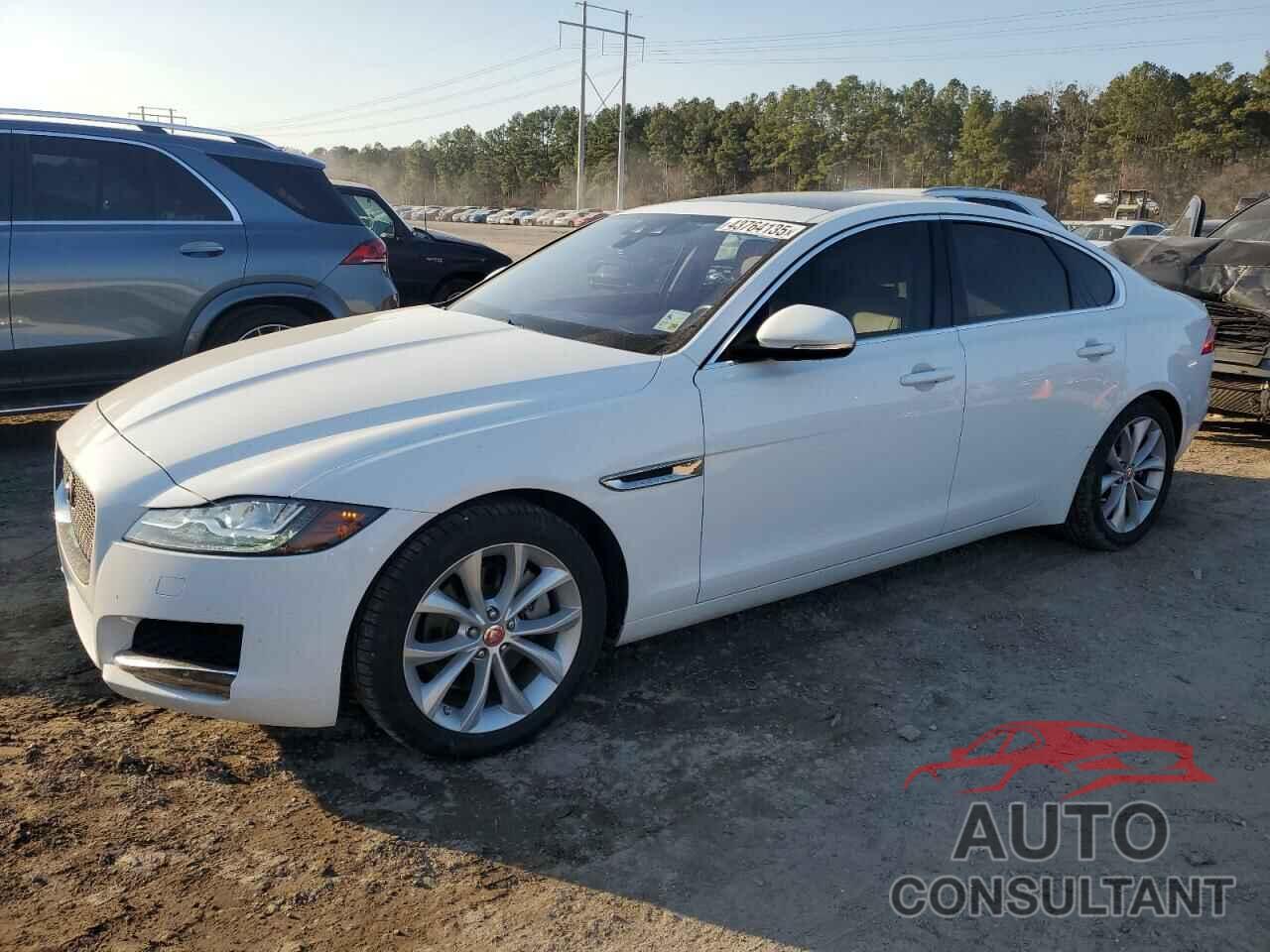 JAGUAR XF 2019 - SAJBJ4FX4KCY81323